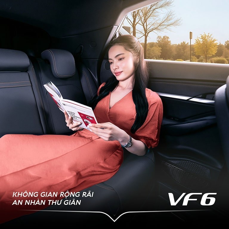 vf6 thư giản